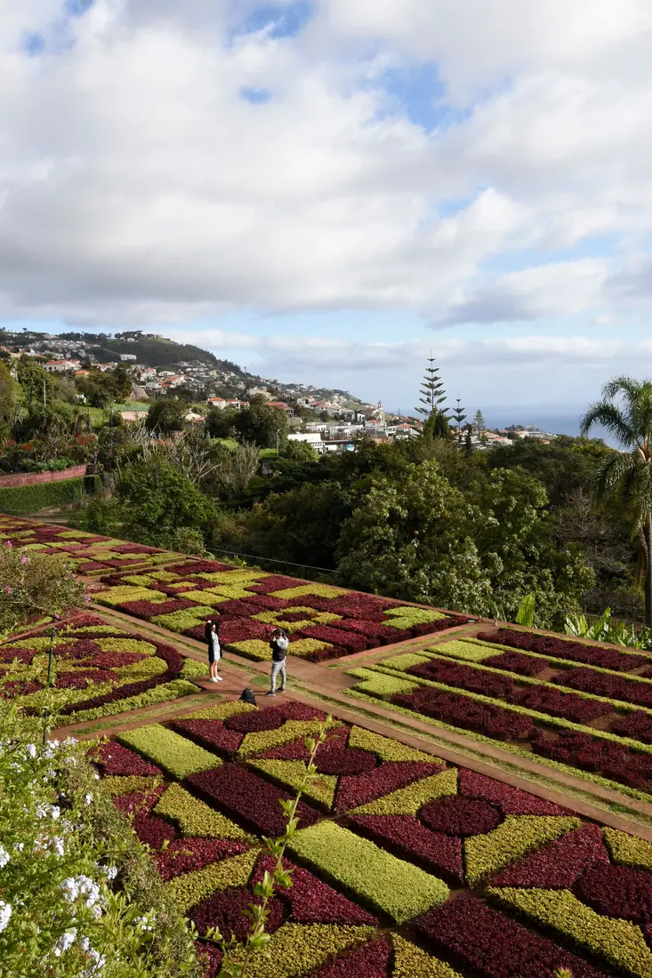 The Botanical Garden above Funchal, Madeira, Portugal