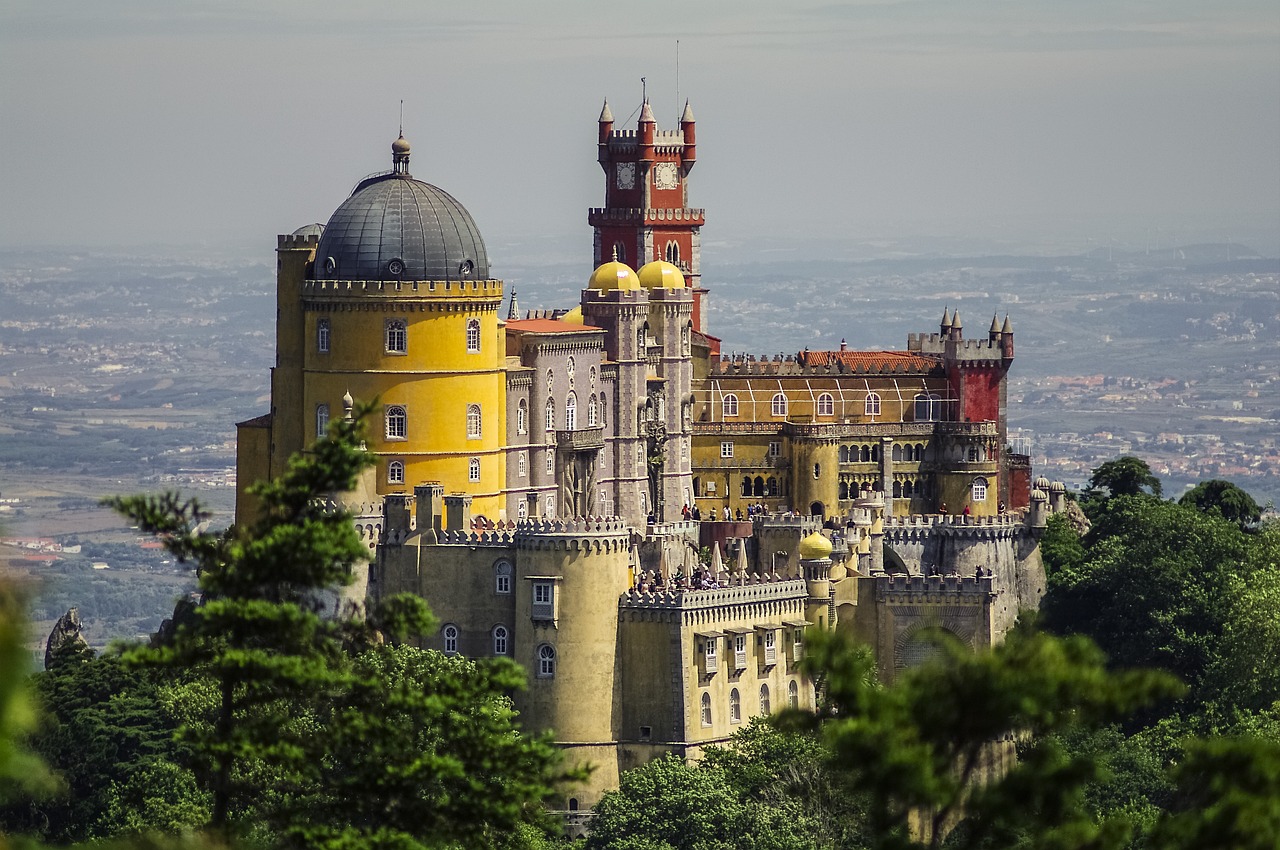 Portugal D2 Visa